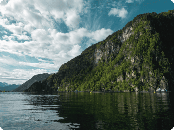 Fjord Image