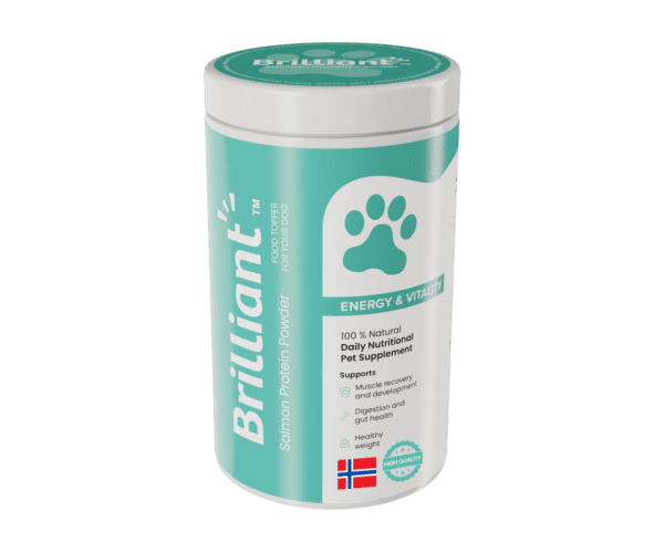 Brilliant Salmon Protein Powder for Dogs